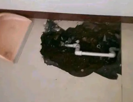 定日卫生间测漏水多少钱